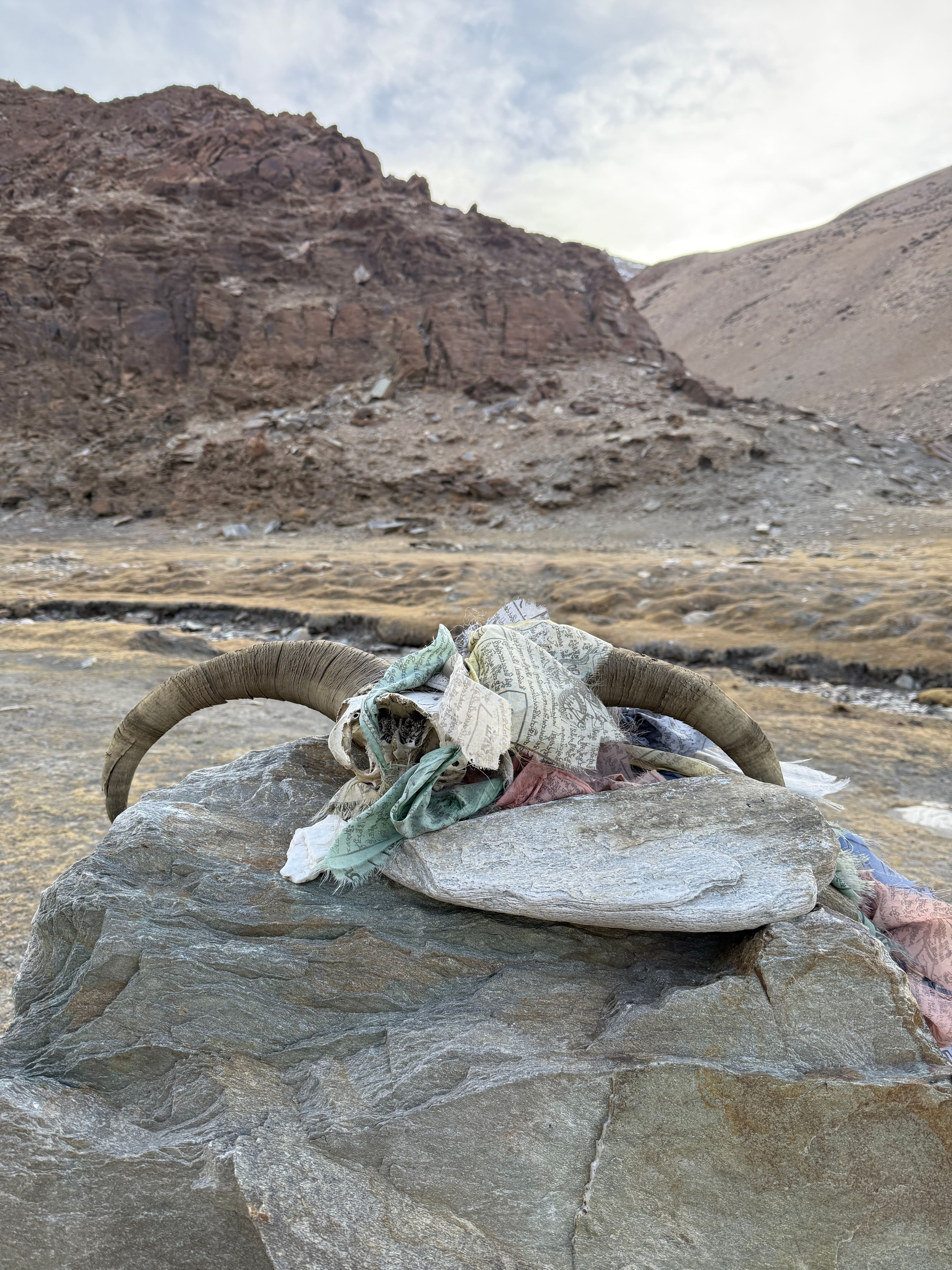 Expedition archive image