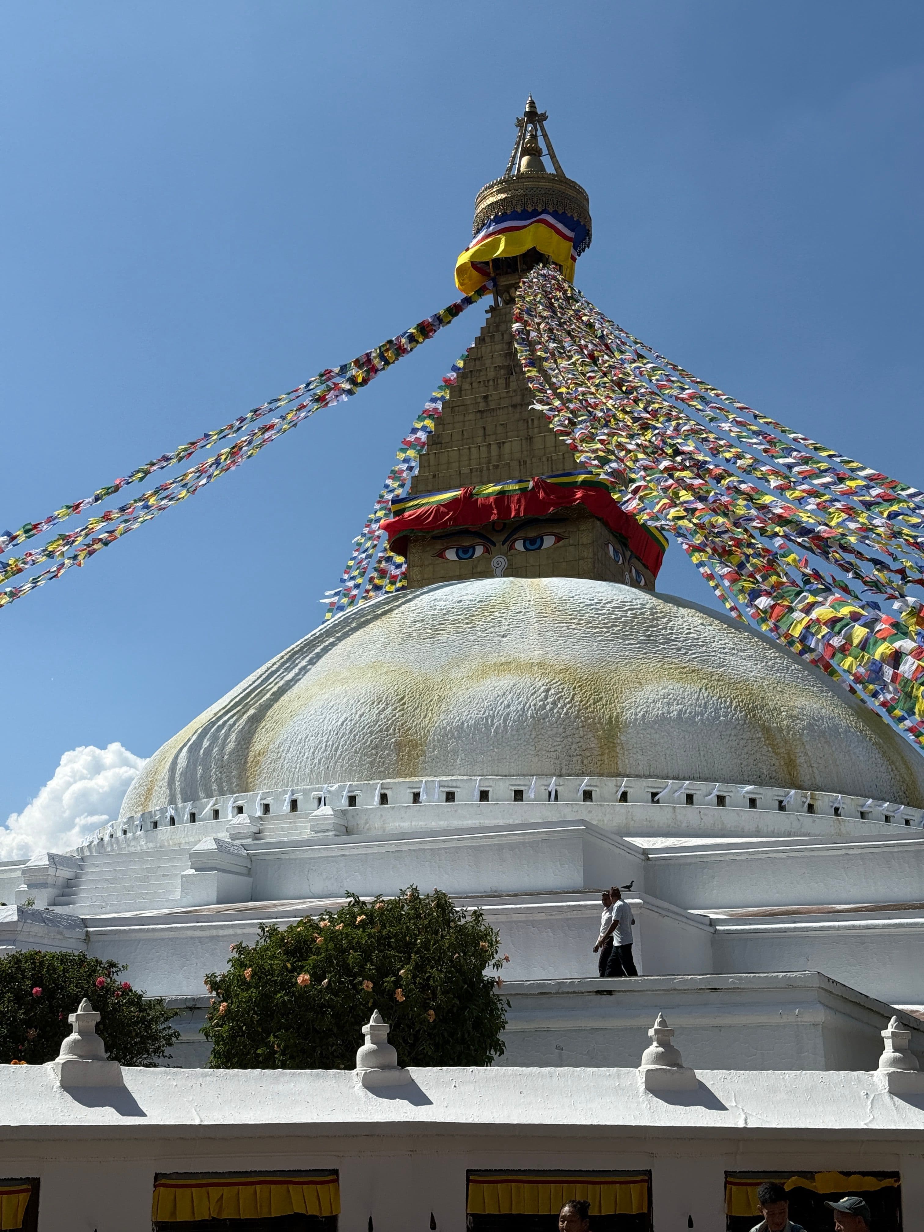 Expedition archive image